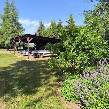 Casas Rurales Tabla Honda El Robledo  Luaran gambar