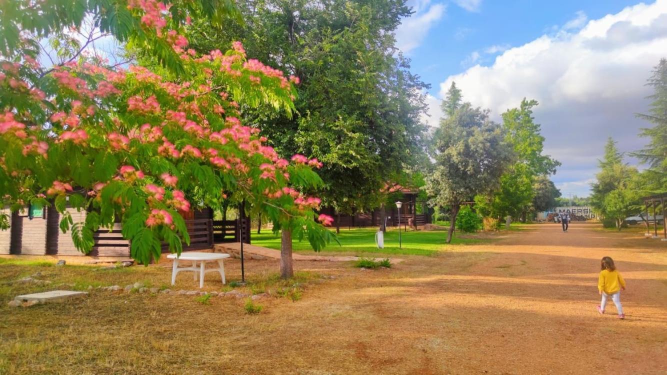 Casas Rurales Tabla Honda El Robledo  Luaran gambar